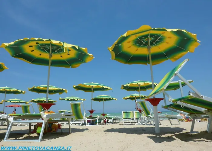 Apartament Micaene Duplex - *